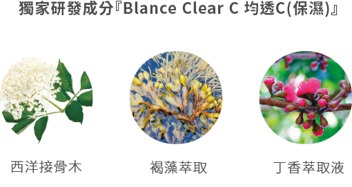 獨家研發成分「Blance Clear C 均透C(保濕) 西洋接骨木、褐藻萃取、丁香萃取液
