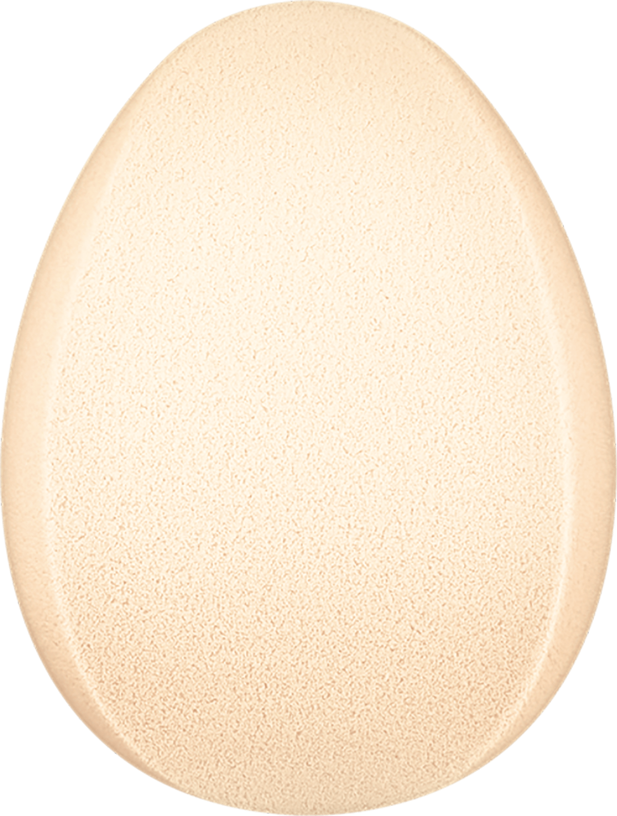 PREFECT TOUCH SPONGE