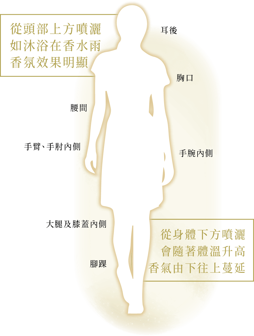 從頭部上方噴灑如沐浴在香水雨香氛效果明顯；從身體下方噴灑會隨著體溫升高香氣由下往上蔓延，可噴灑於耳後、胸口、腰間、手臂/手肘內側、手腕內側、大腿及膝蓋內側、腳踝
